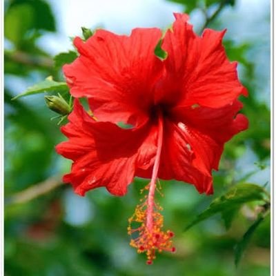 @tinyblazers options division new era crypto enthusiast and a big Pi believer